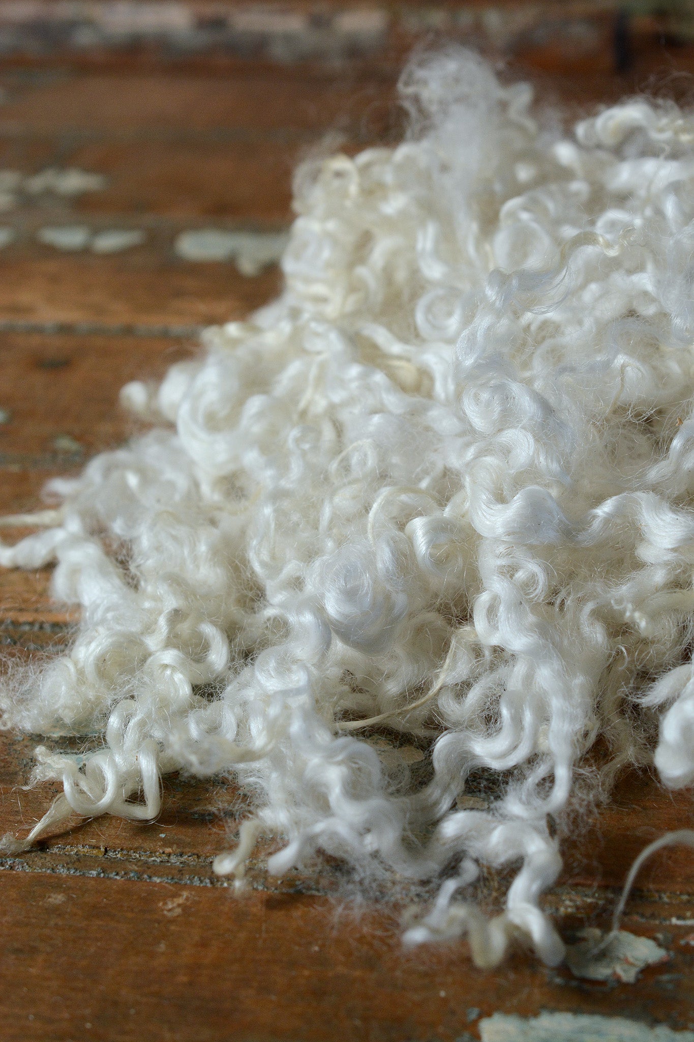 White Longwool Cross Lamb Locks 2 oz